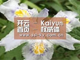产品名称二