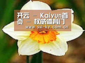 产品名称四