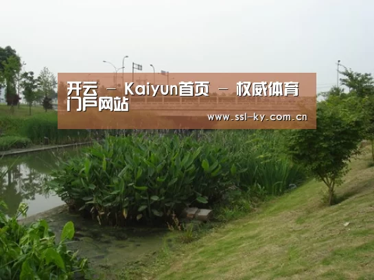 案例展示四