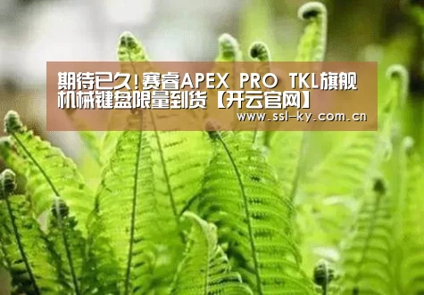 开云体育下载