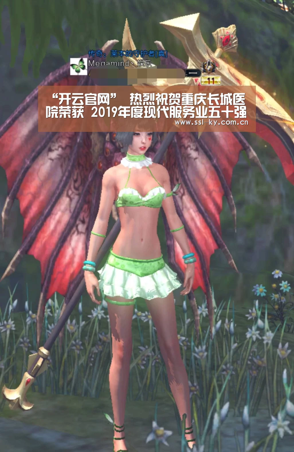 开云